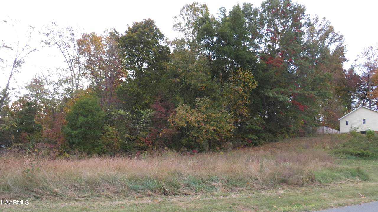 0 Owen Moore Lot 27 Drive - Photo 1
