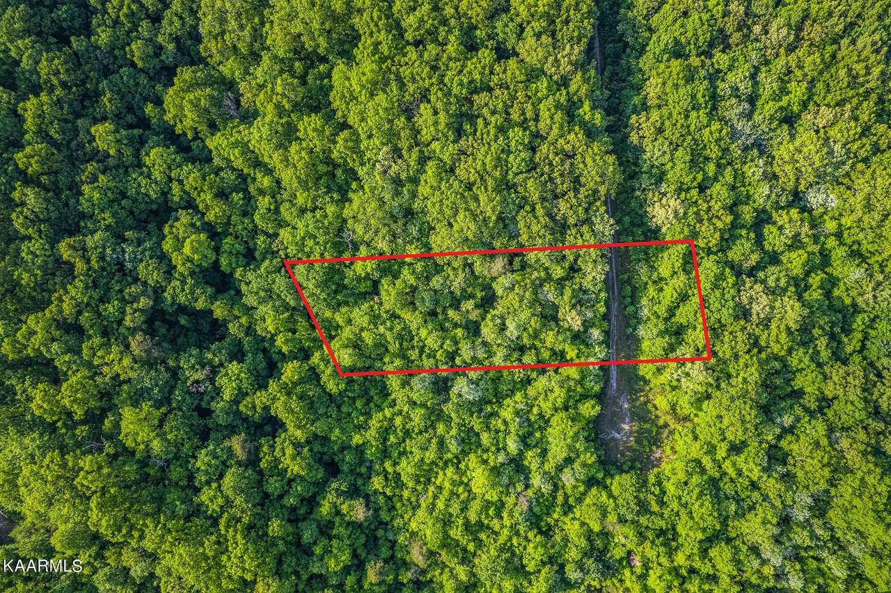 0 Pickett Park Hwy - Photo 1