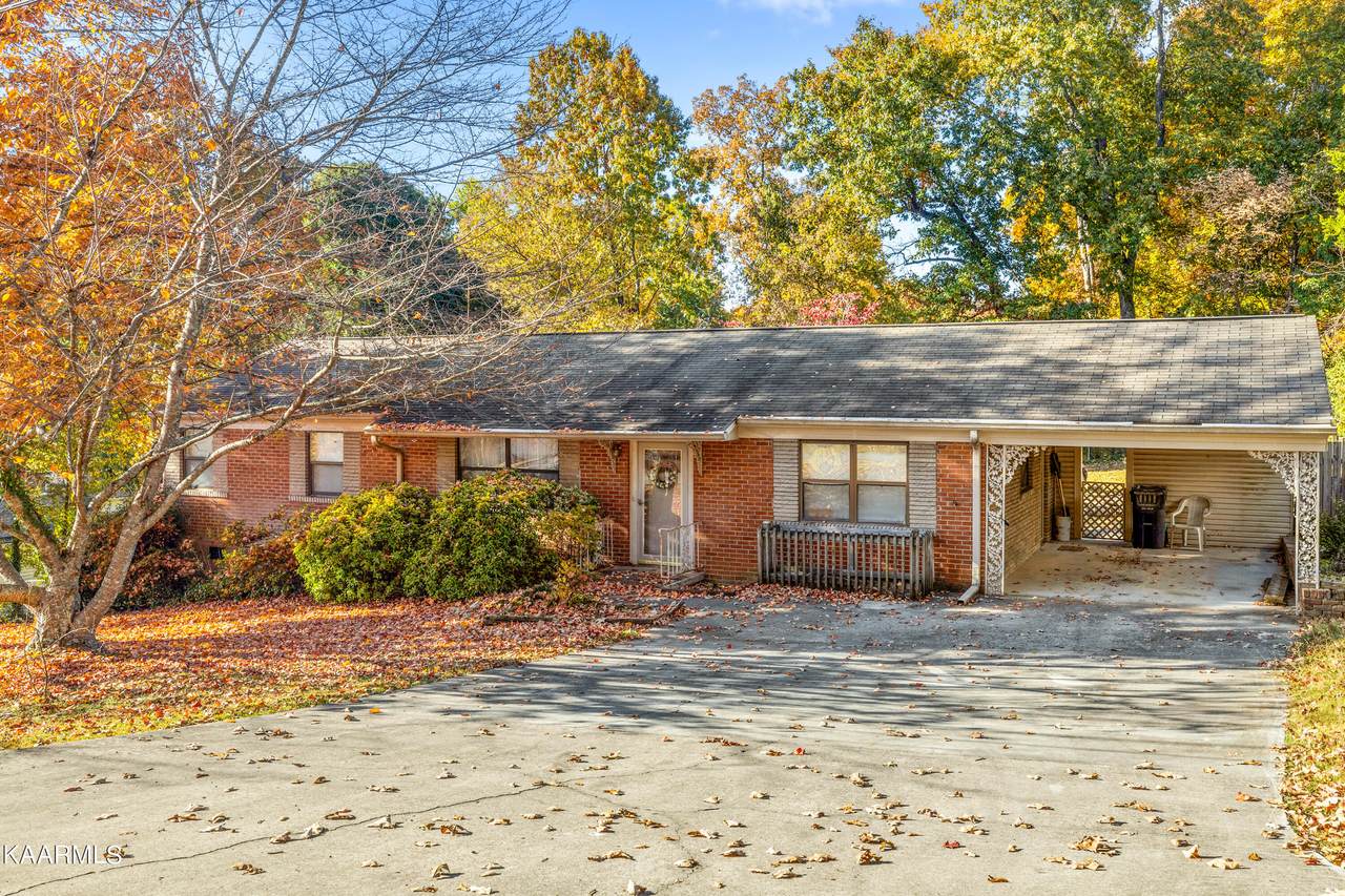 5501 Paula Rd - Photo 1