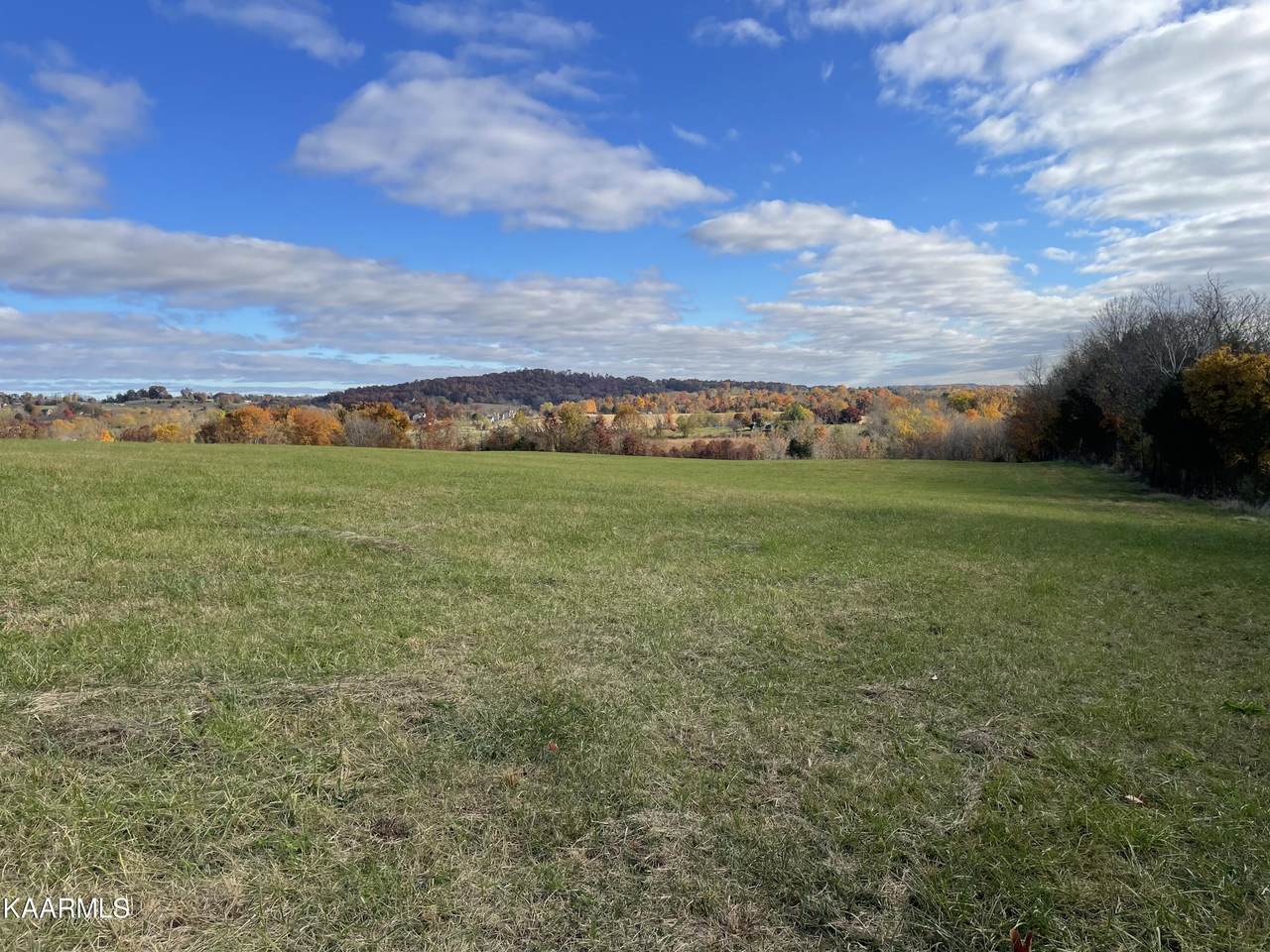 5383 Old White Pine Rd - Photo 1