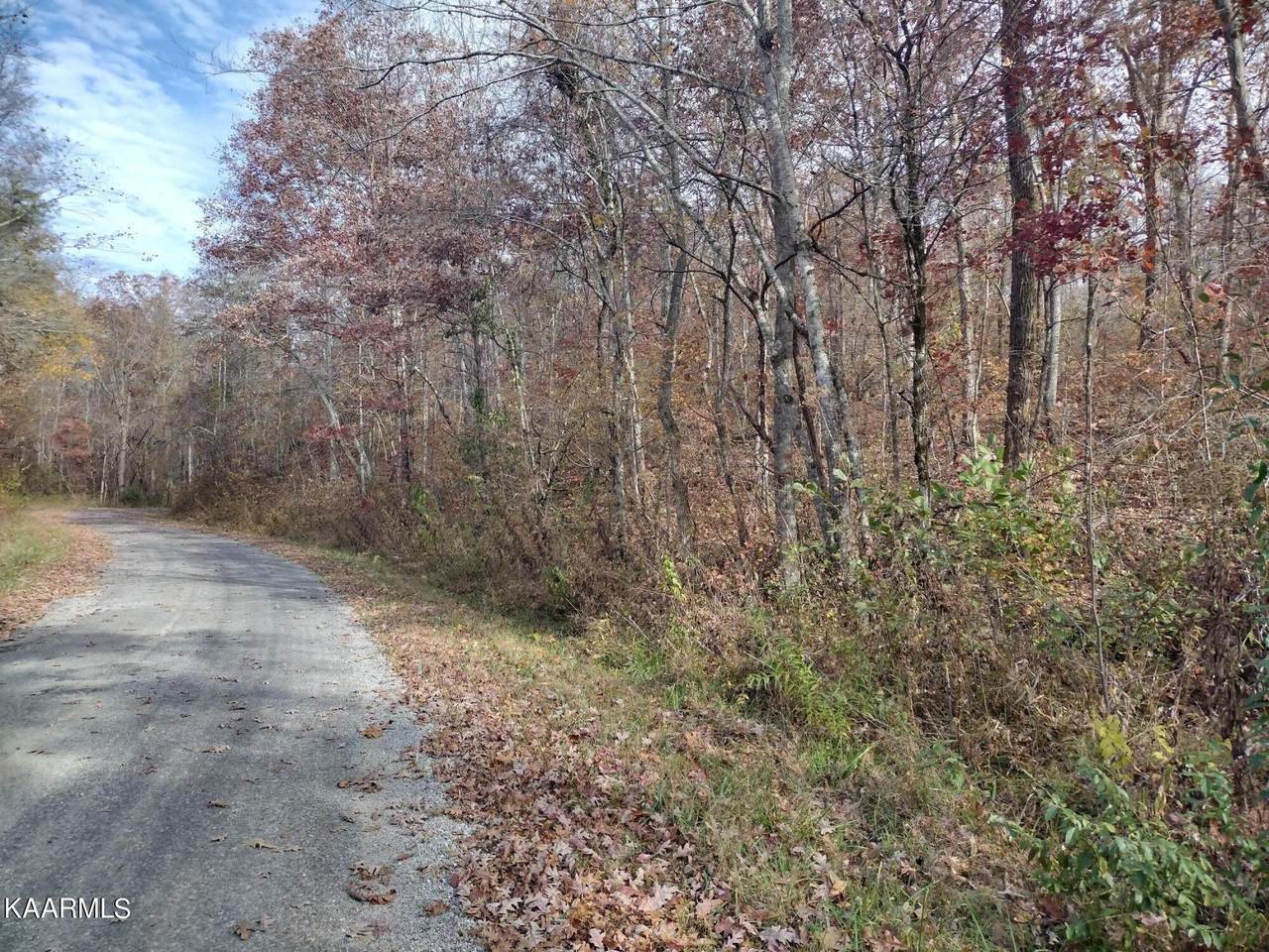 Black Creek Rd - Photo 1