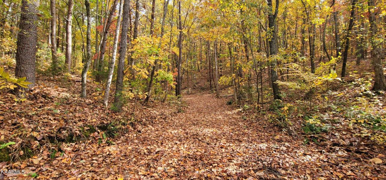 36.59 Ac River Rd - Photo 1