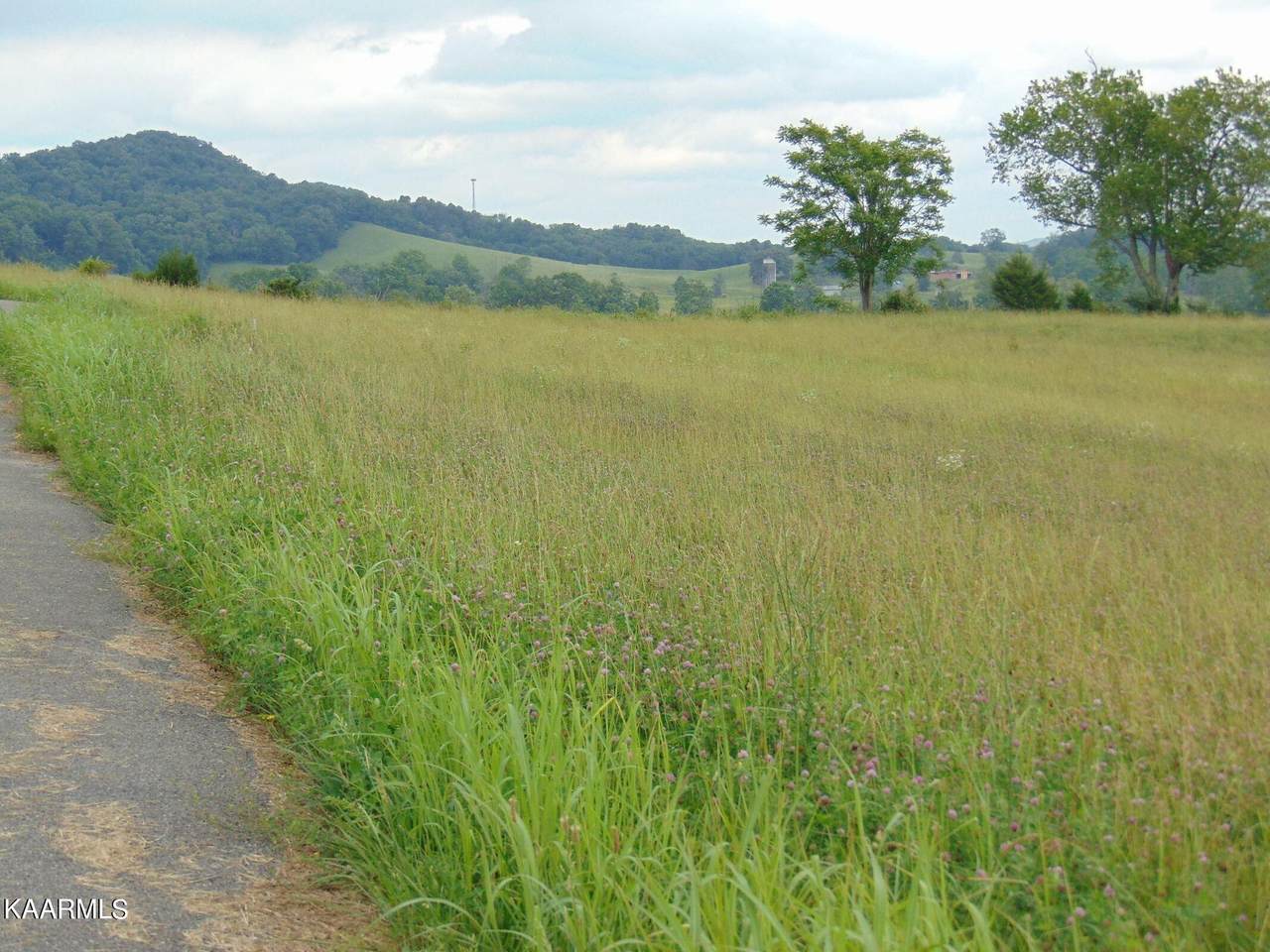 Starling Lane Lane - Photo 1
