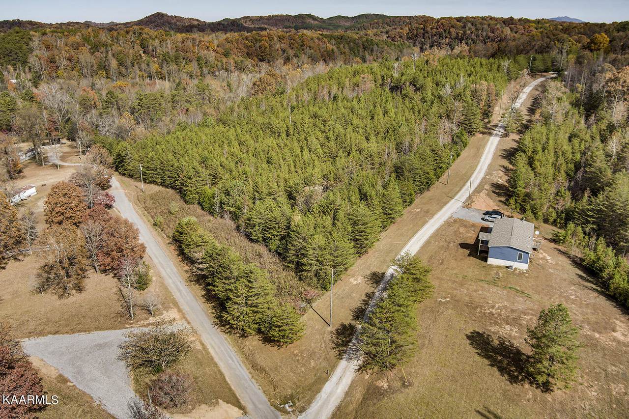 162 Williams Rd - Photo 1