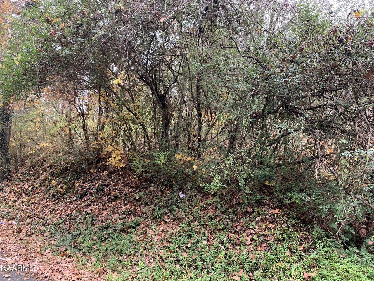 Old Patton Lane - Photo 1