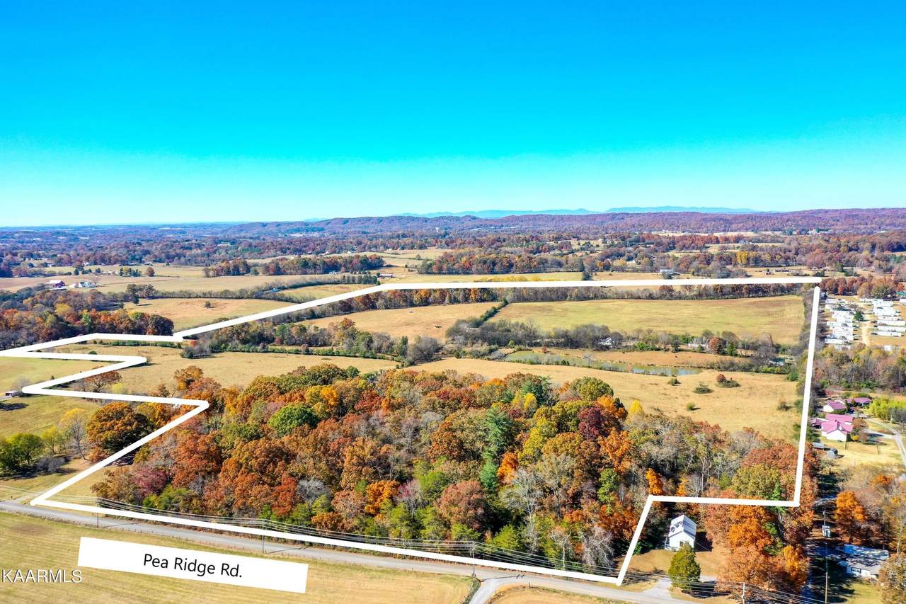 304 Temple Rd - Photo 1