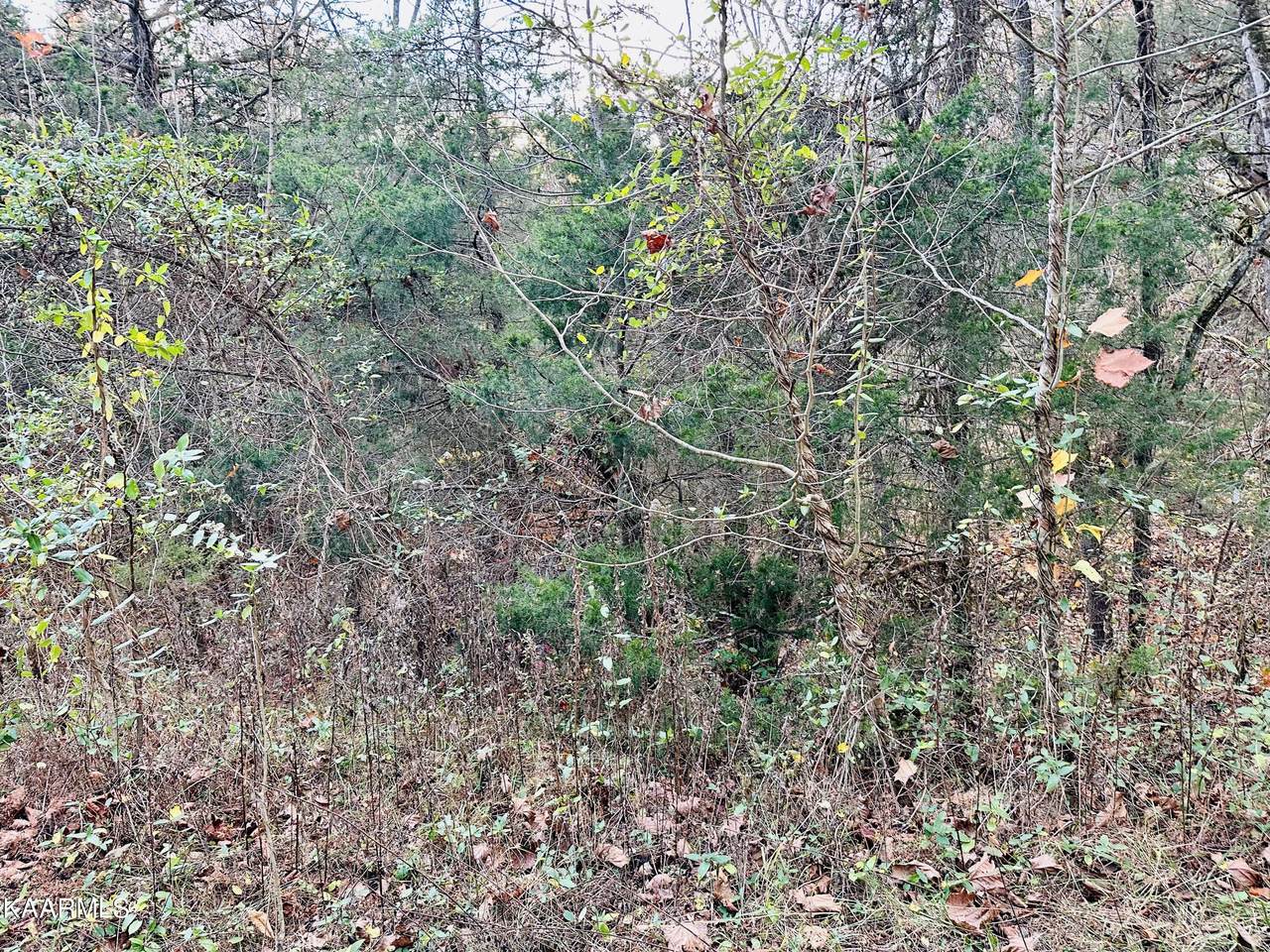 Old Springs Rd - Photo 1