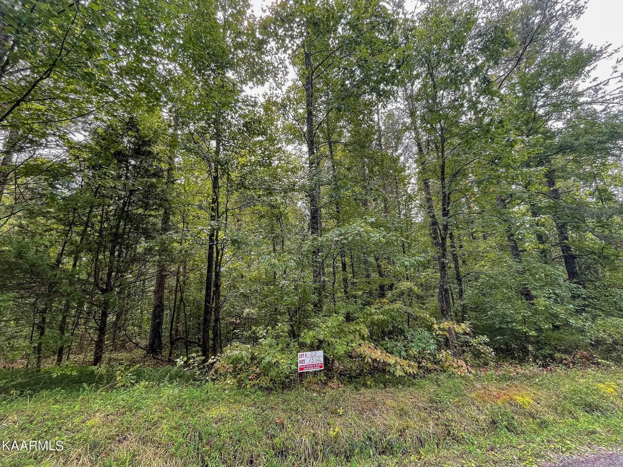 Maple Grove Rd - Photo 1