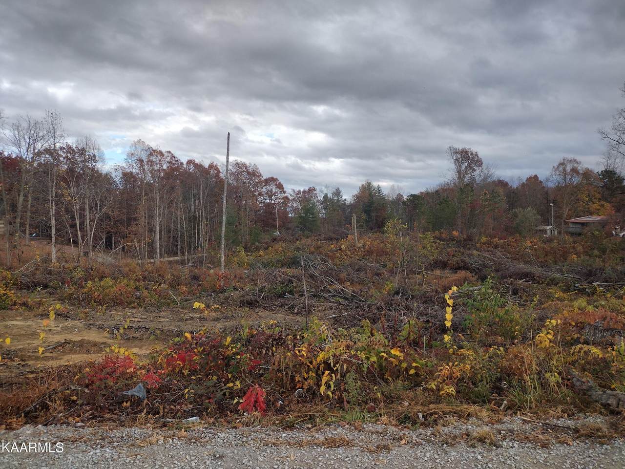 Lot 2 Leatherwood Rd - Photo 1