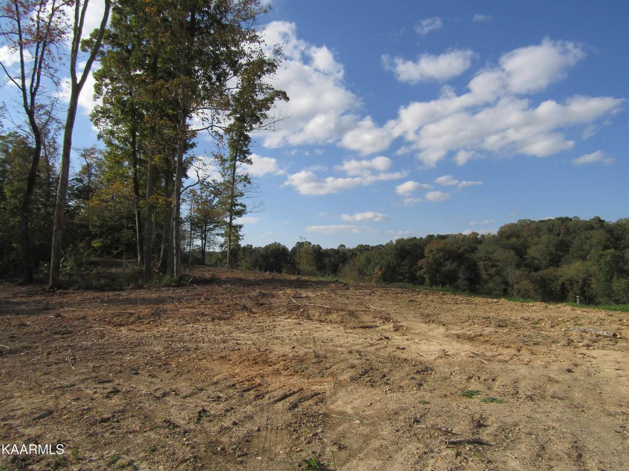 30.10 ac Livingston Hwy - Photo 1