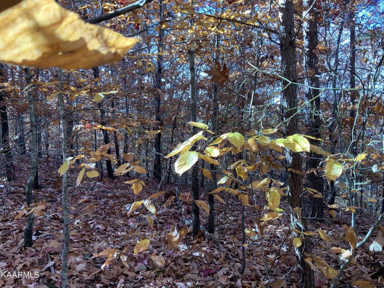 L-143 Islandview Pt. - Photo 1