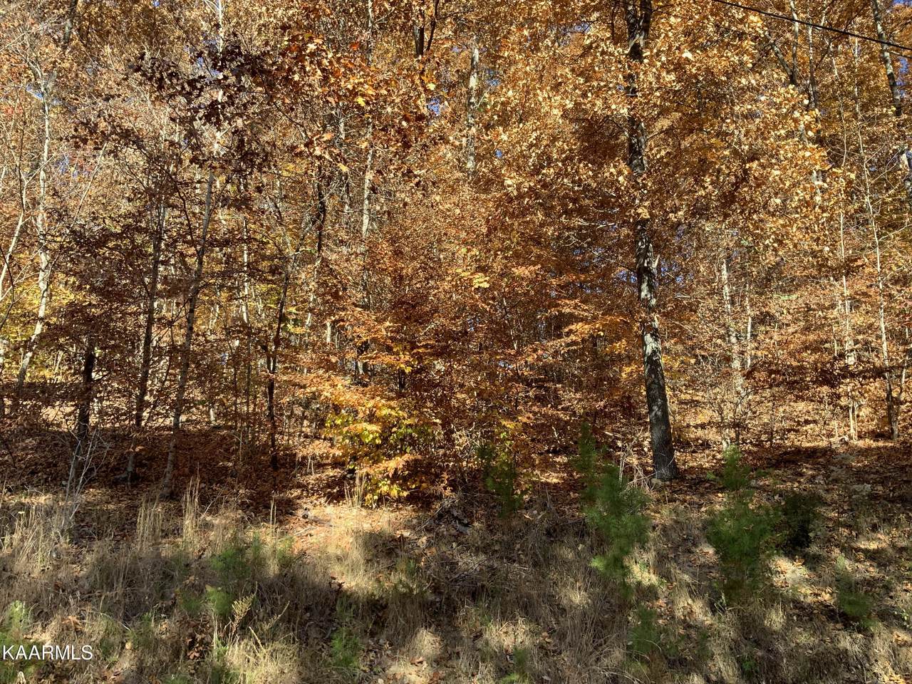 L-75 Grandpas Ridge - Photo 1