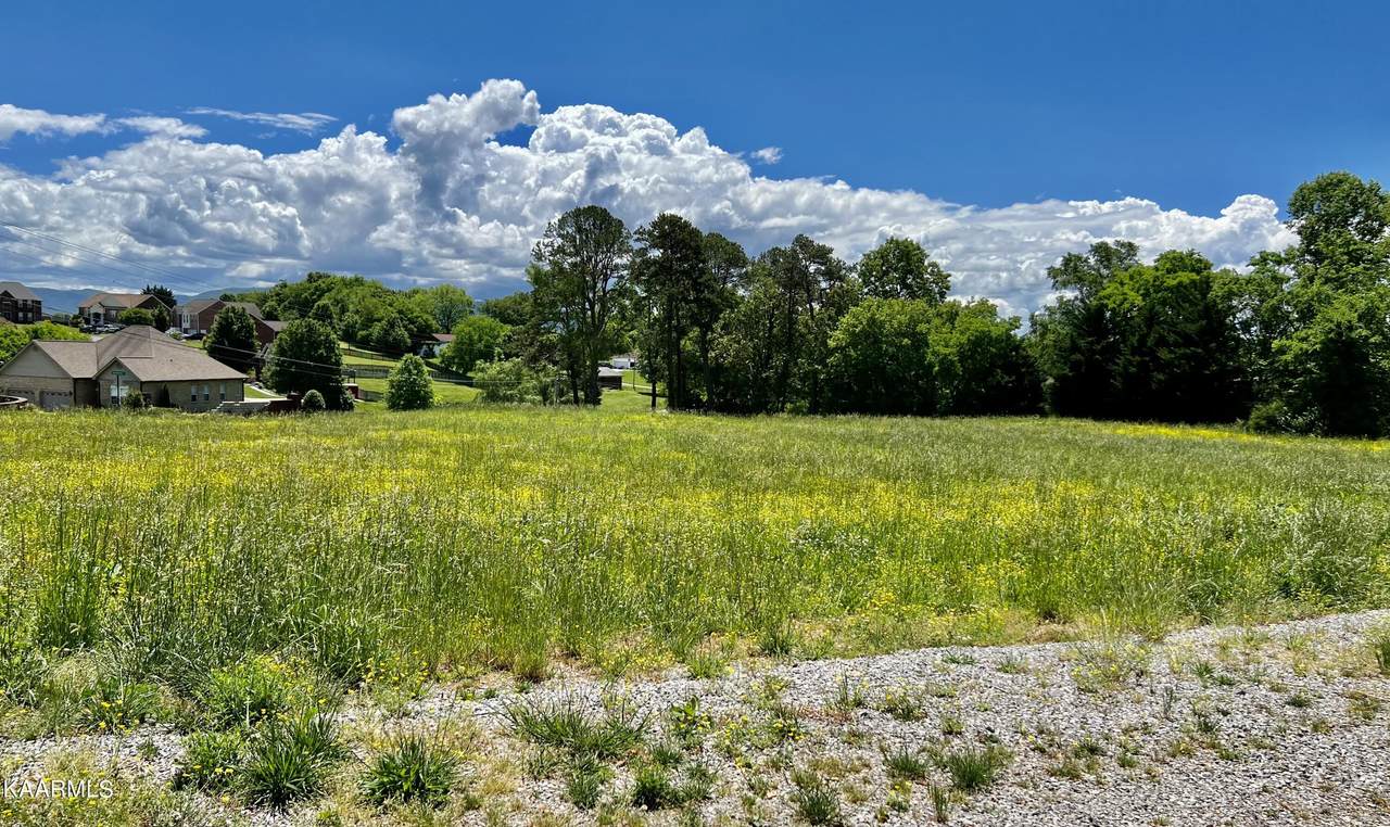Lot 1rB Burnett Station Rd - Photo 1