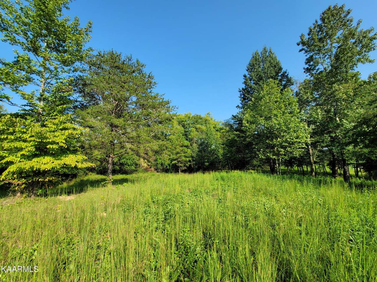 223 Serenity Drive - Photo 1