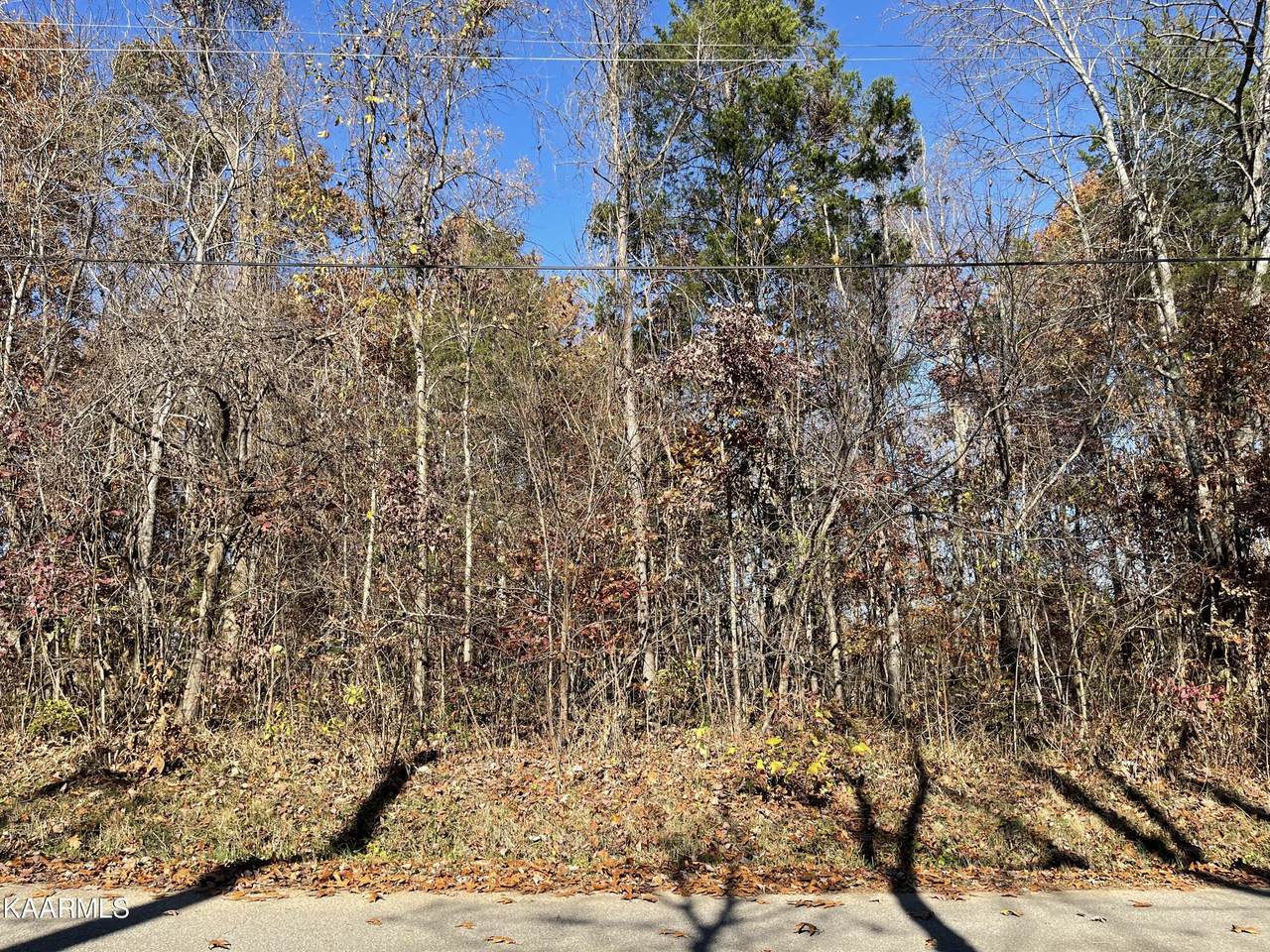 254 Scenic Hill Lane - Photo 1