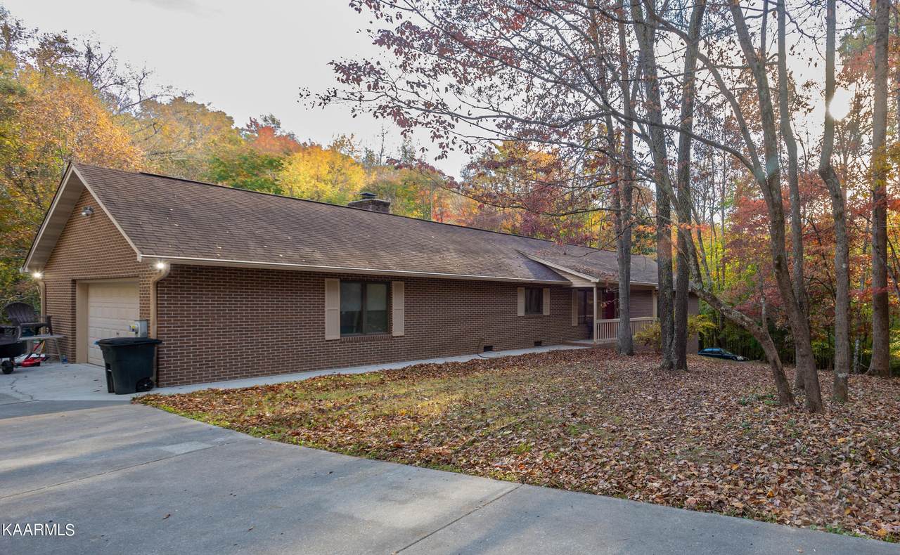 39 Chestnut Drive - Photo 1