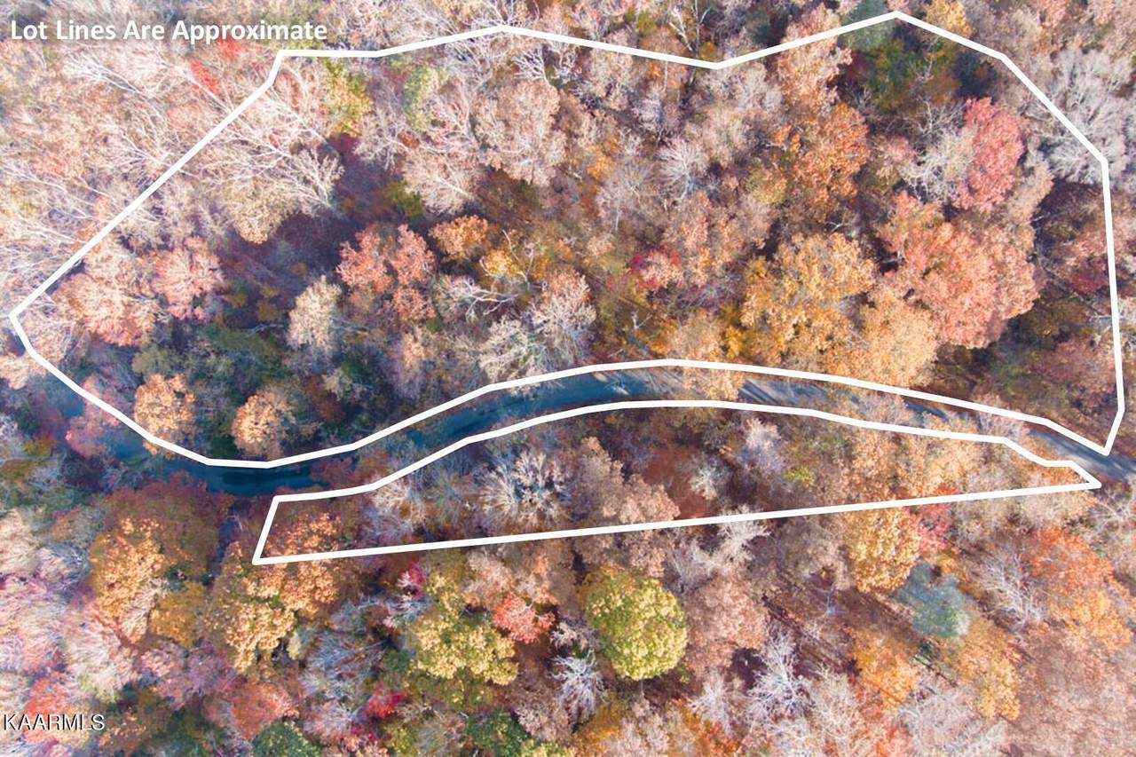 Reagan Springs Rd - Photo 1