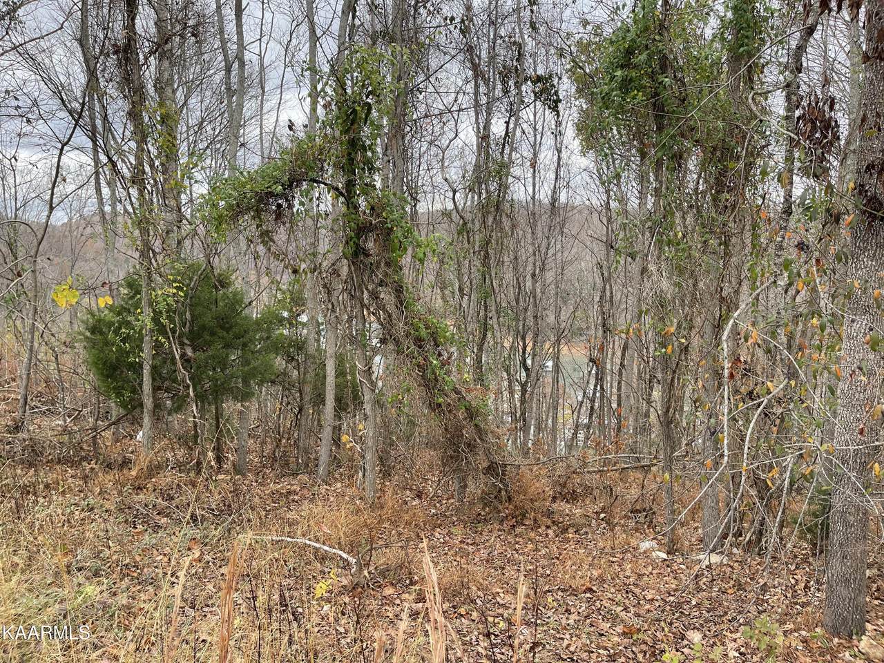 Norris View Lane Drive - Photo 1