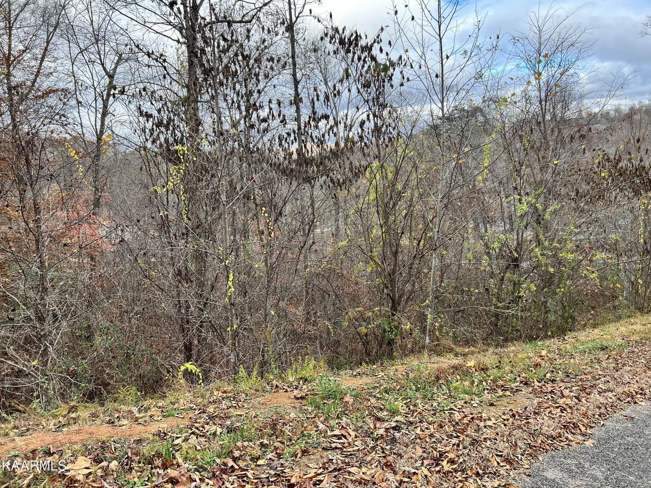 Lot #206 Waterside Lane - Photo 1
