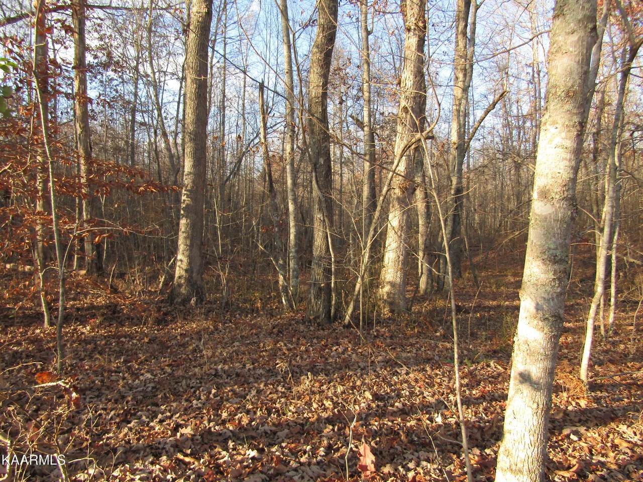 0 Arrow Trail - Photo 1