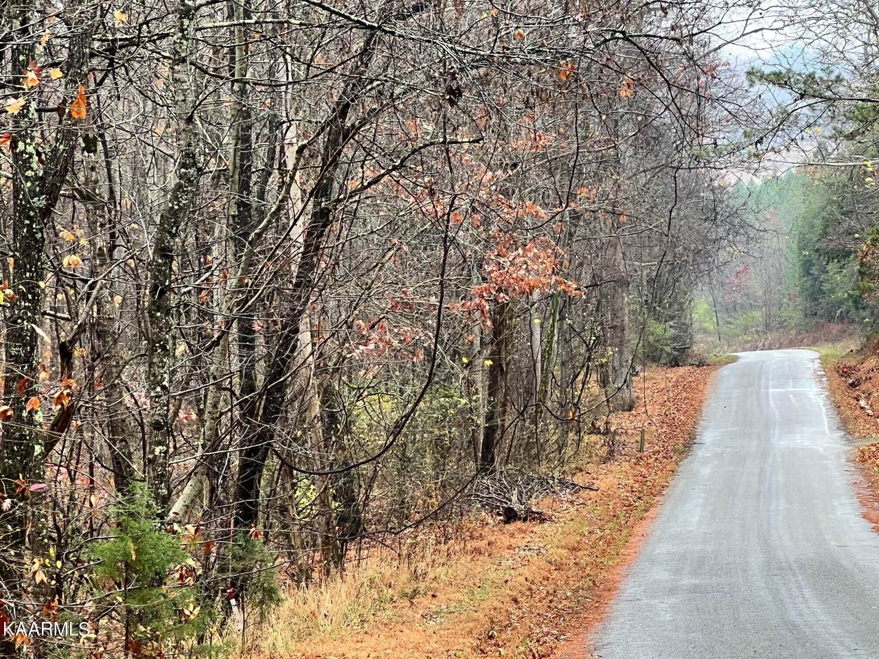 Lot 11N Rayl Hollow - Photo 1