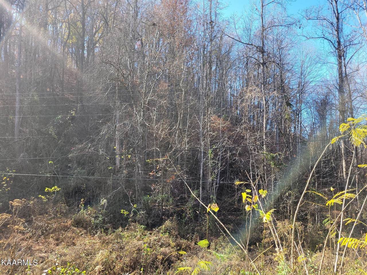 Smokey Rd - Photo 1