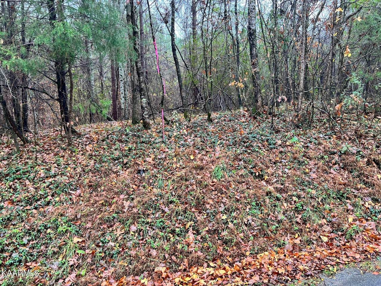 Lot 18R Rayl Hollow - Photo 1