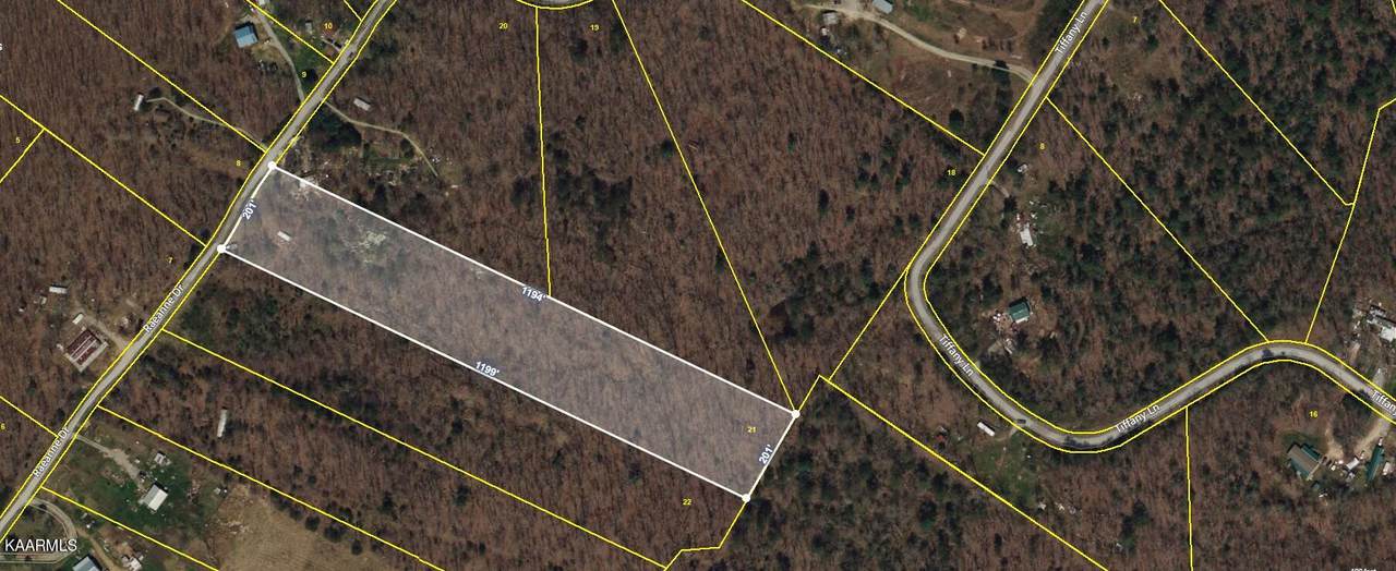 180 Raenne Drive - Photo 1
