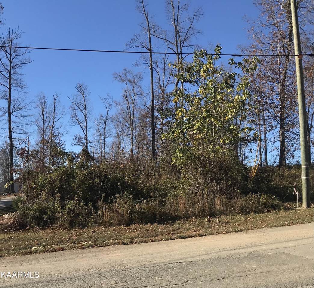 Hickory Pointe Lane - Photo 1