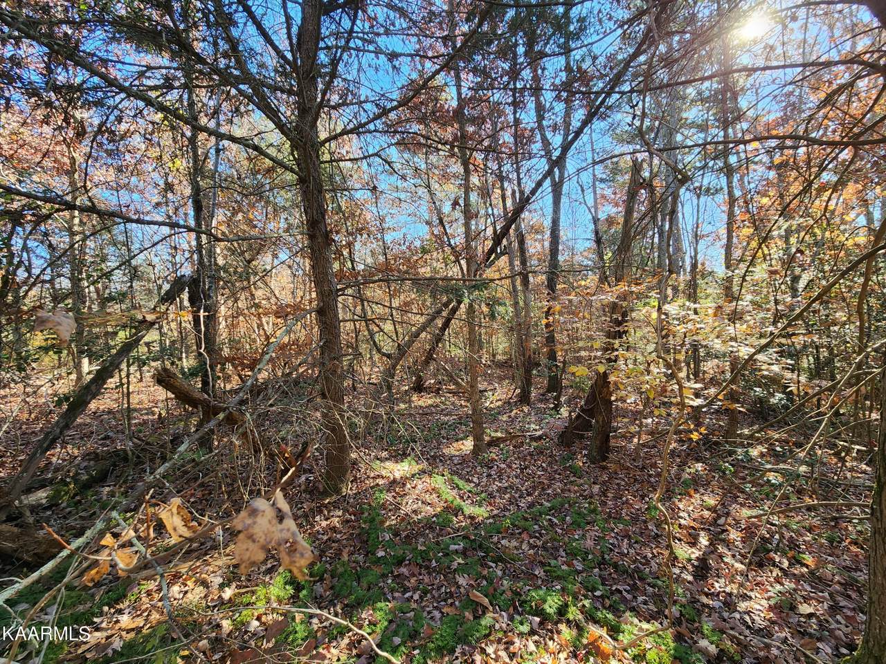 Lot 6 Fancher Rd - Photo 1