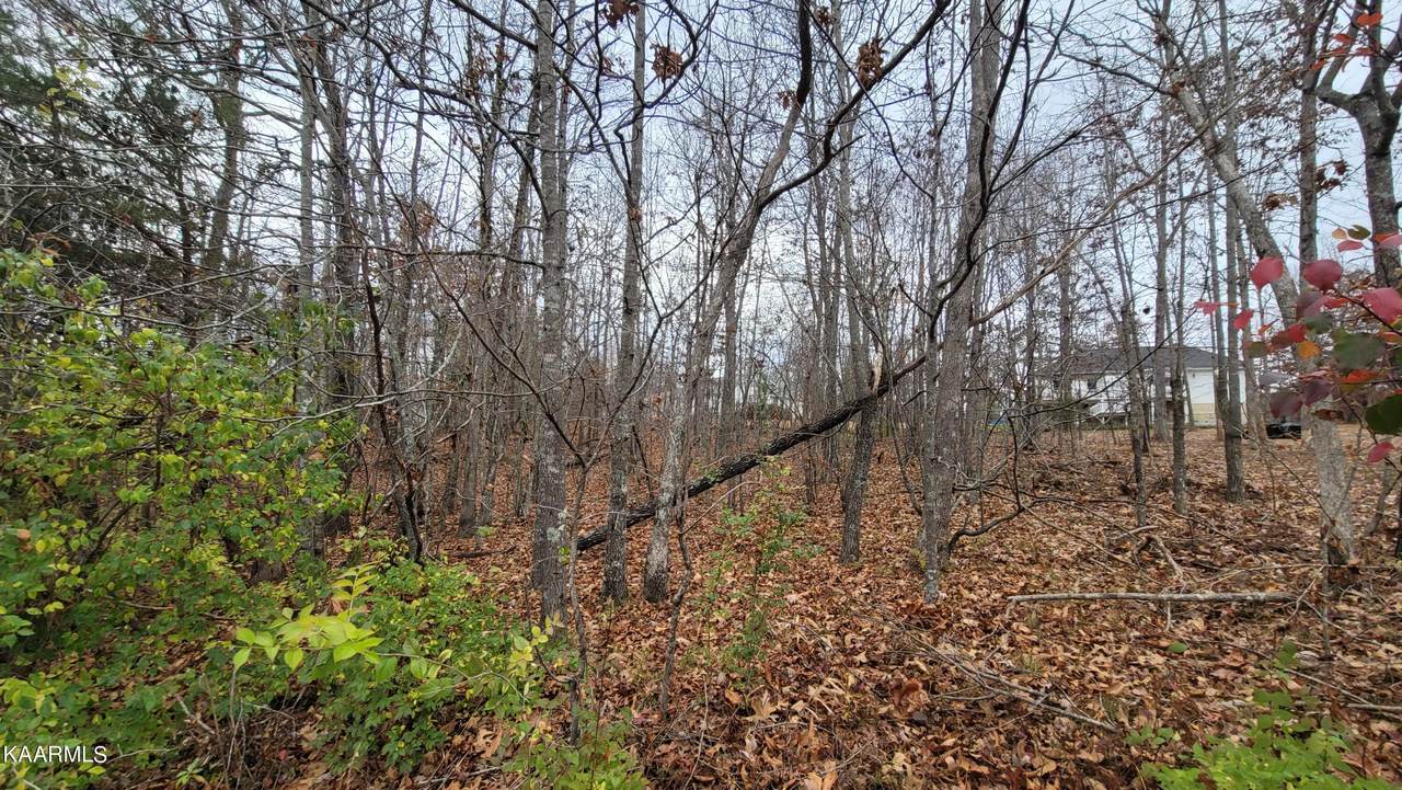 129 Mena Lane - Photo 1