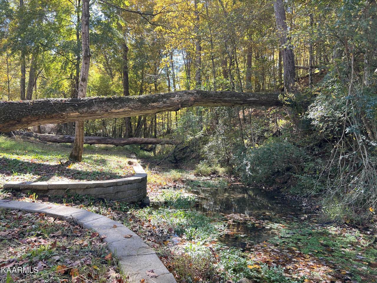 0 Poplar Springs Rd - Photo 1