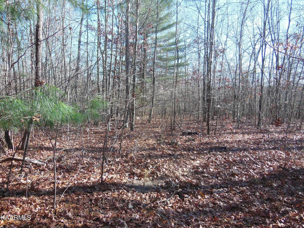 Lot 39&62 Little Kenny Road - Photo 1