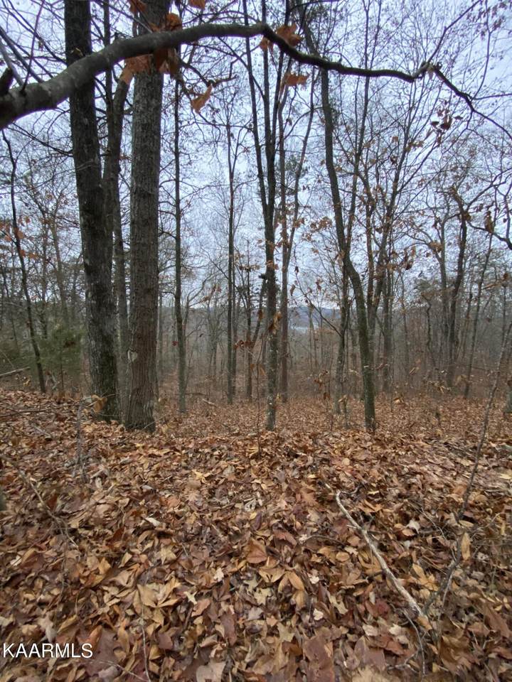 Lot 179 Lakeview Drive - Photo 1