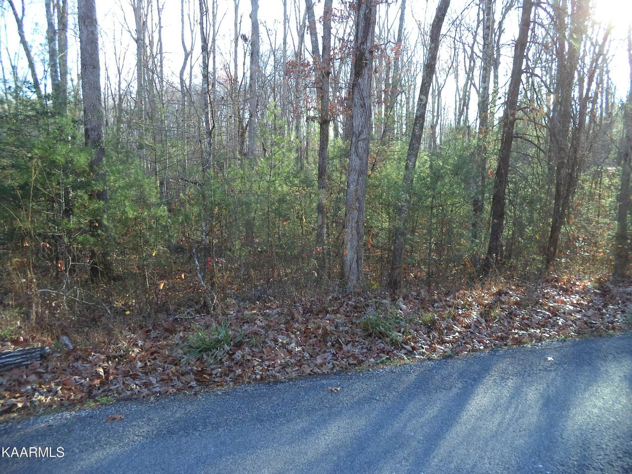 Station Camp Rd - Photo 1