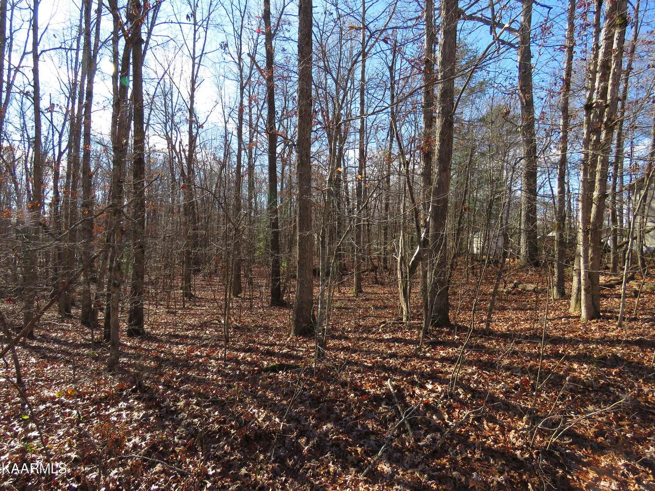6248 Osage Rd - Photo 1