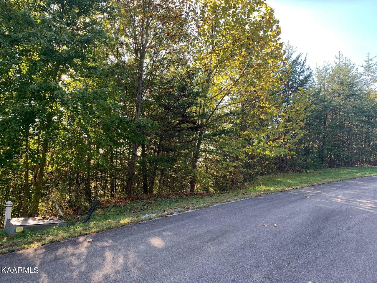 Black Powder Ct - Photo 1