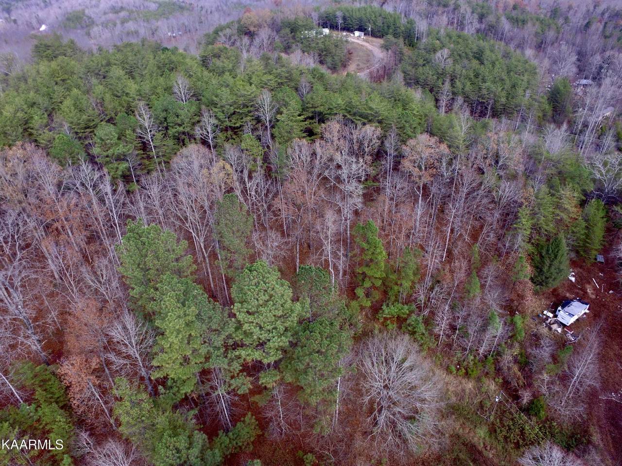 104 Ogle Rd - Photo 1