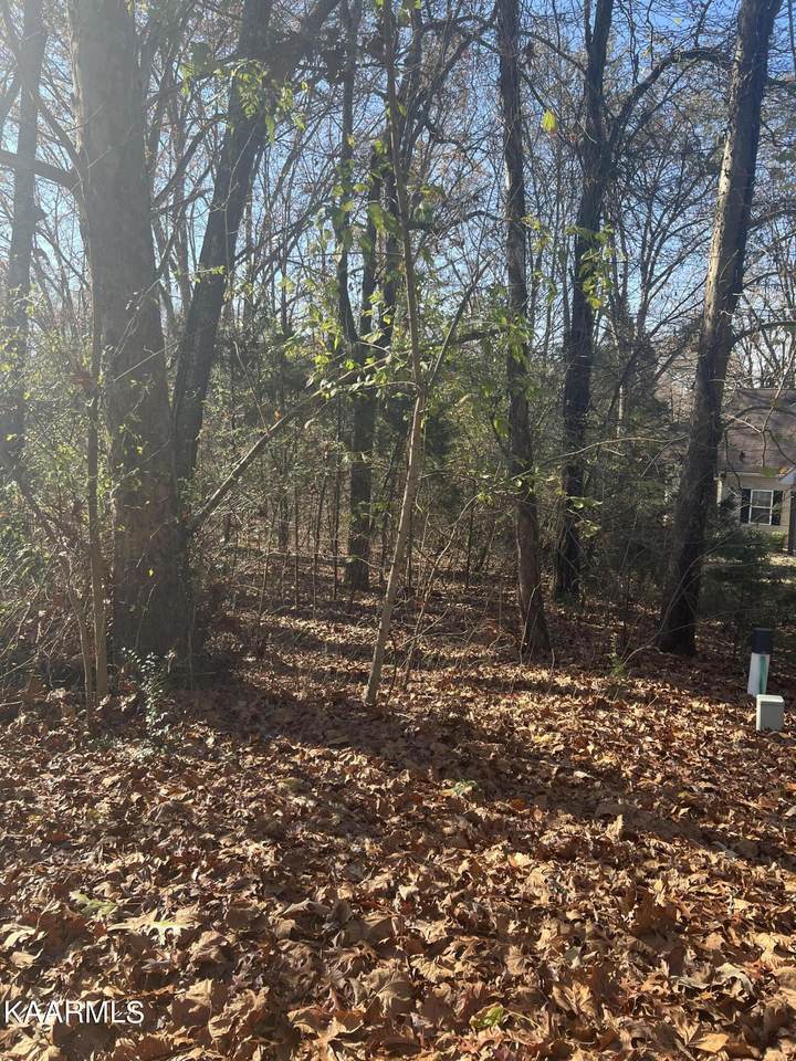 220 Choowa Trace - Photo 1