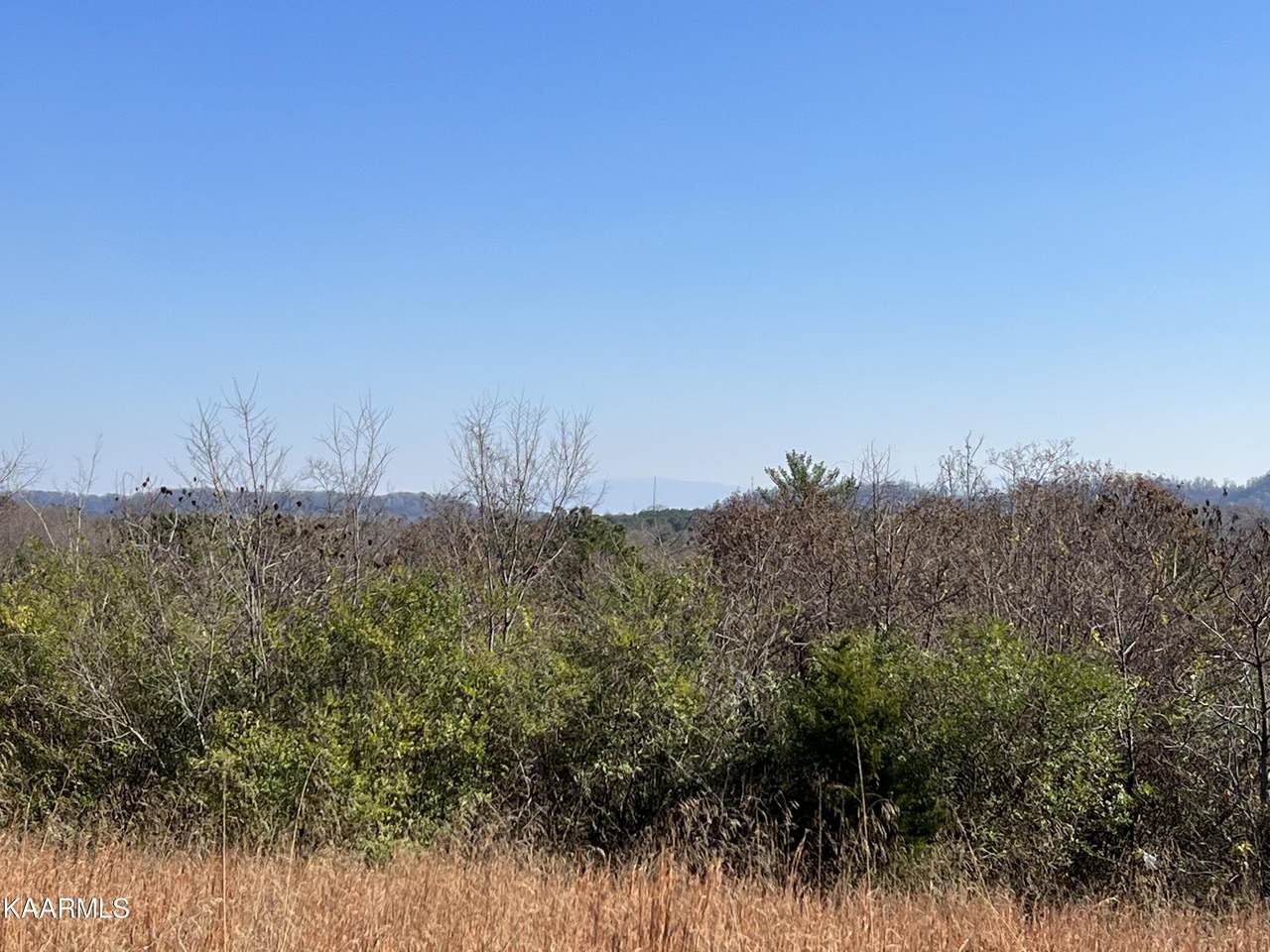 Lot 34 High Ridge Road - Photo 1