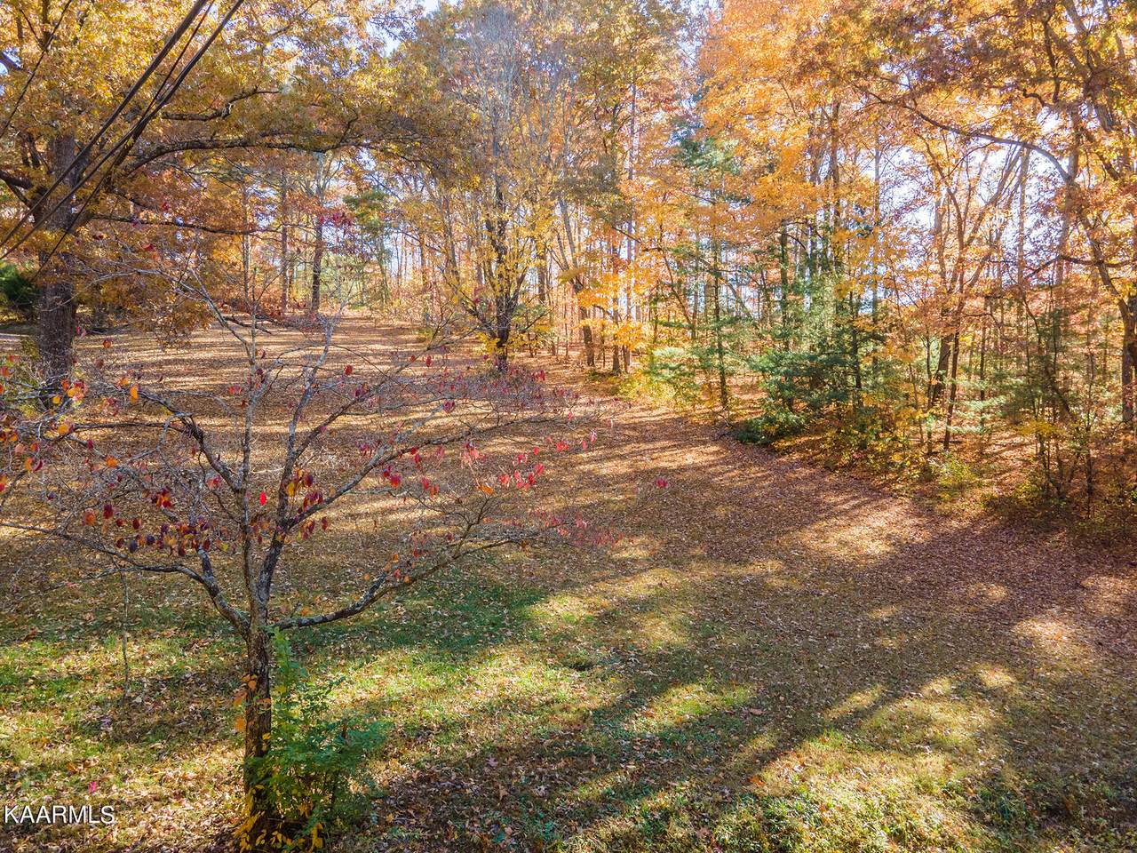 Bob Kirby Rd - Photo 1