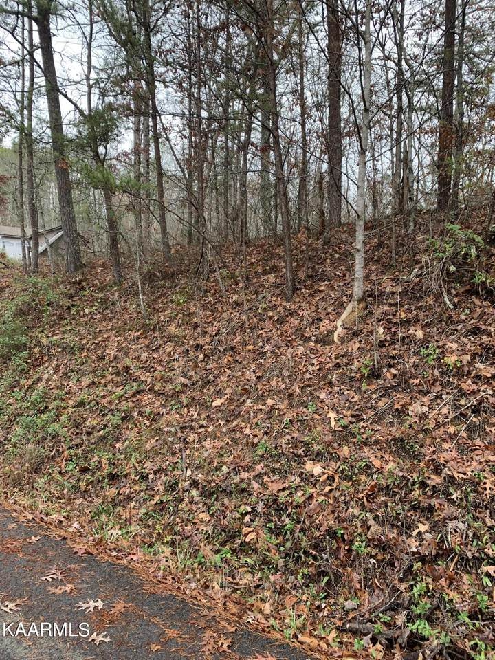 Lot pt 28 Dogwood Drive - Photo 1