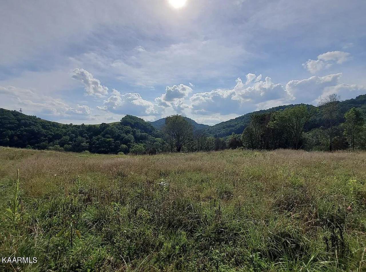 3623 Rebel Hollow Rd - Photo 1
