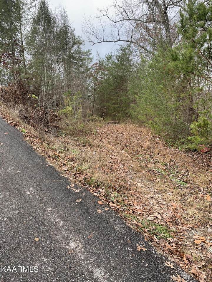 Lot 36 Red Cedar Way - Photo 1