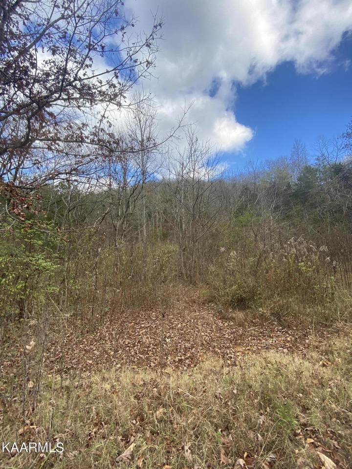 0 Hankins Ln - Photo 1