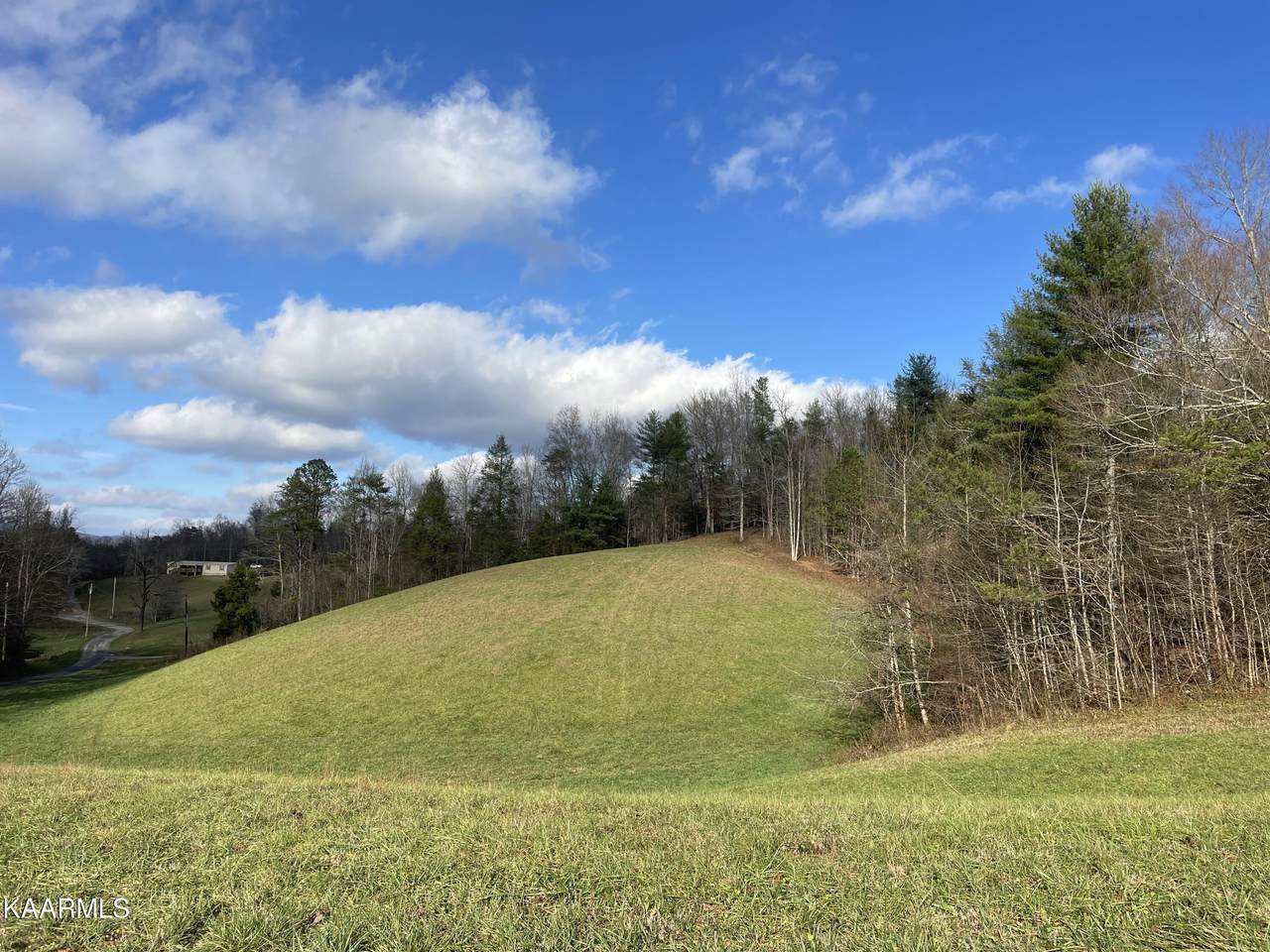 Blue Mill Rd - Photo 1
