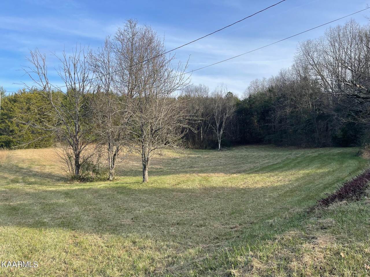 Knob Creek Blvd - Photo 1