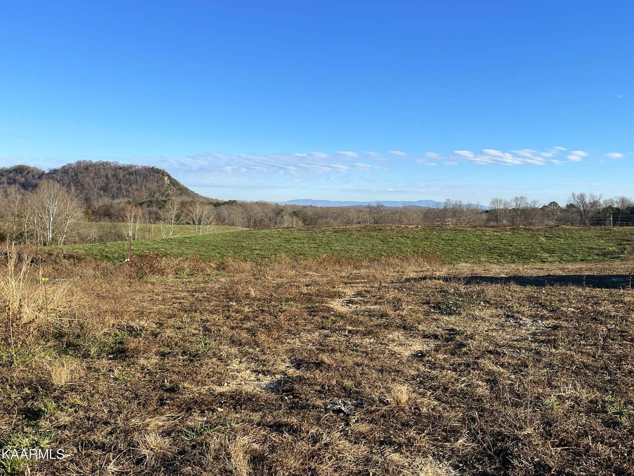 Gap Creek Rd - Photo 1