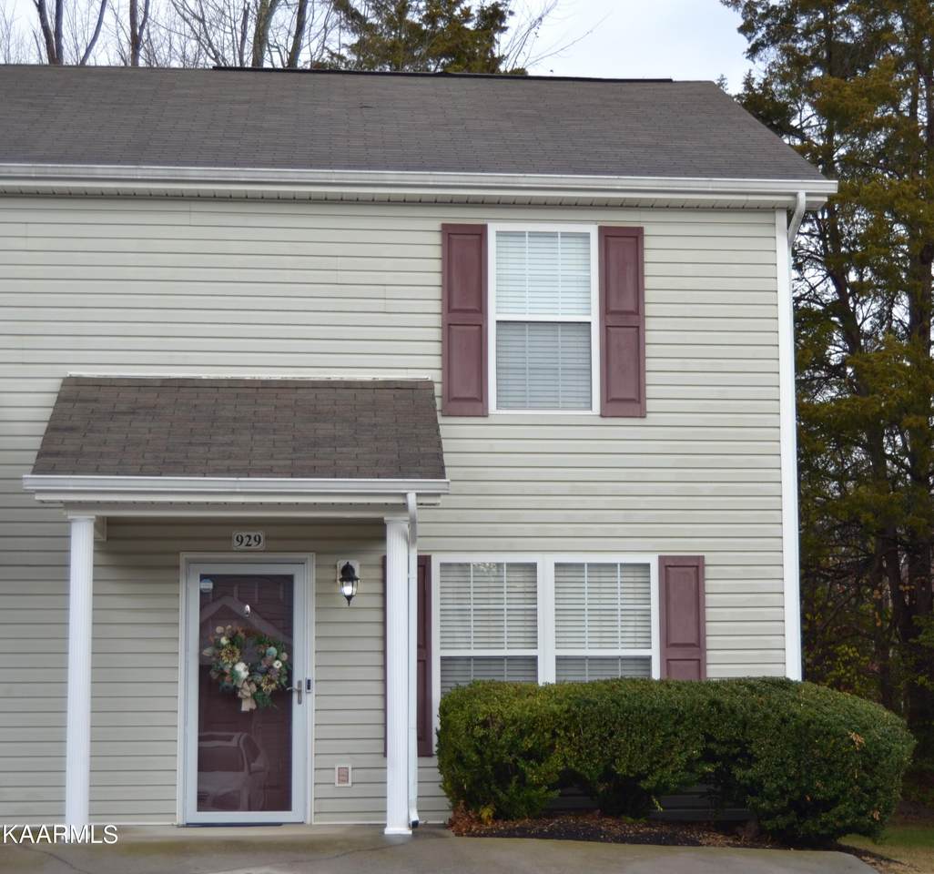 929 Micro Way - Photo 1