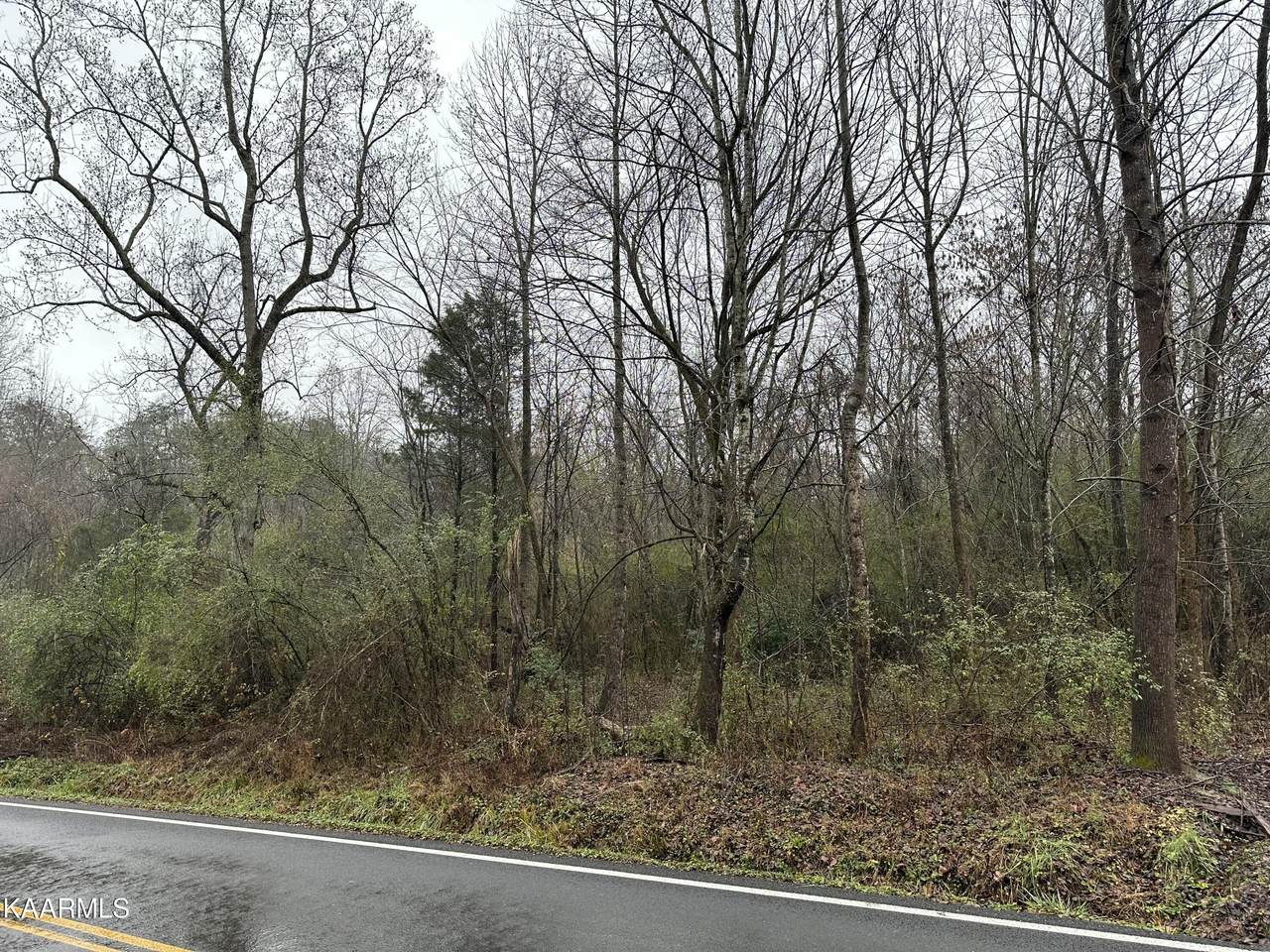 3200 White Wing Rd - Photo 1